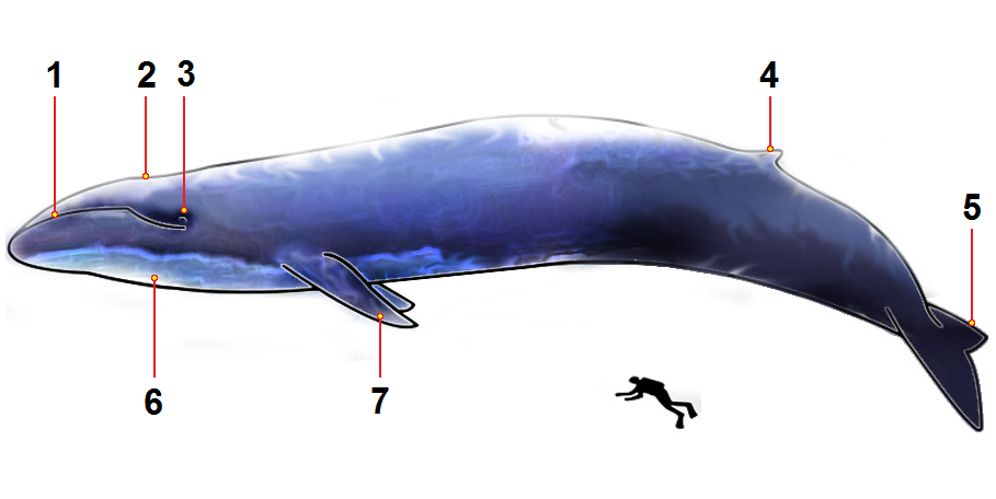Lesson image