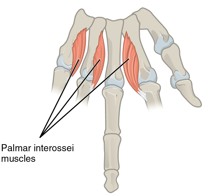 Lesson image