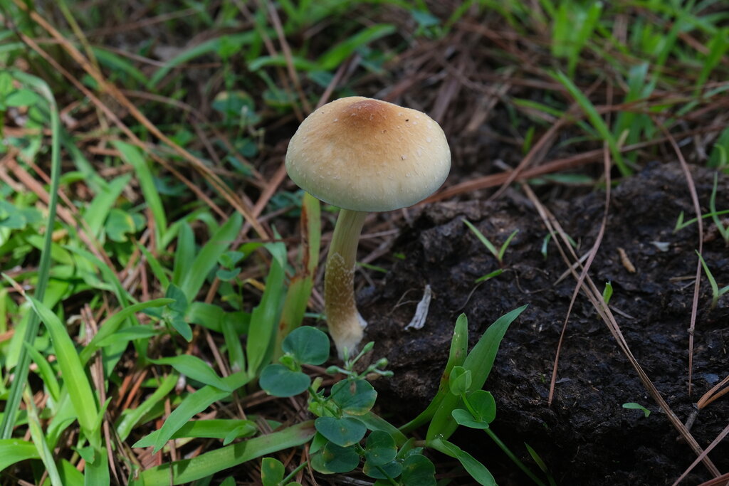 Lesson image