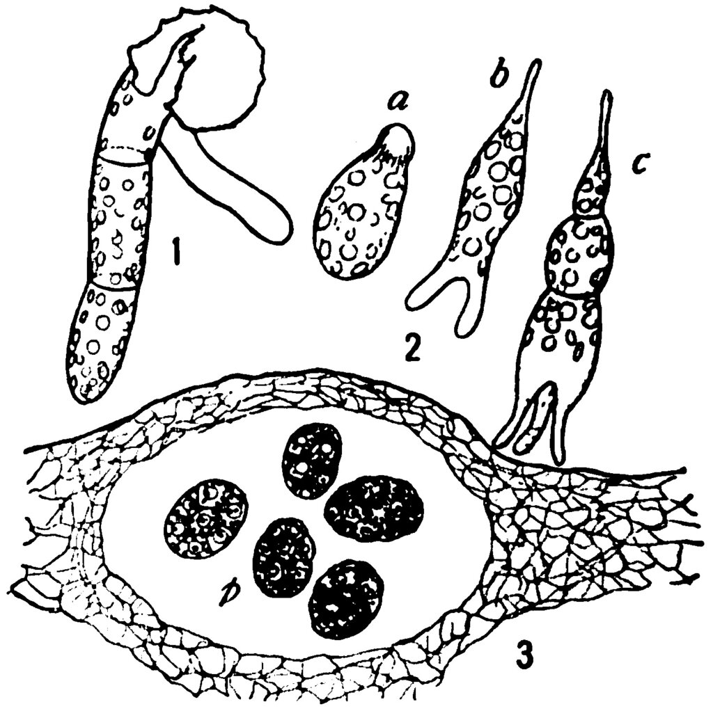 Lesson image