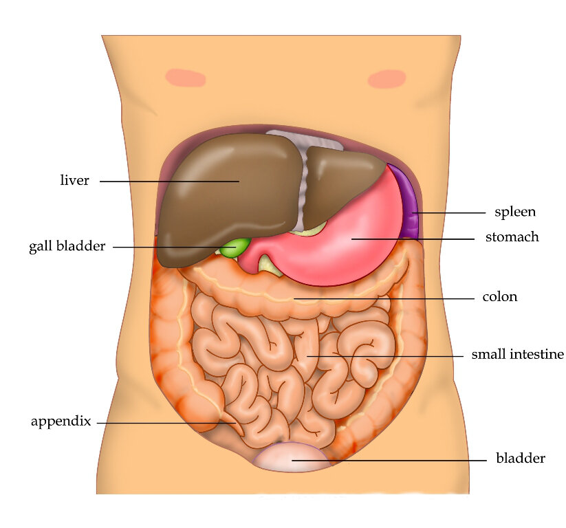 Lesson image