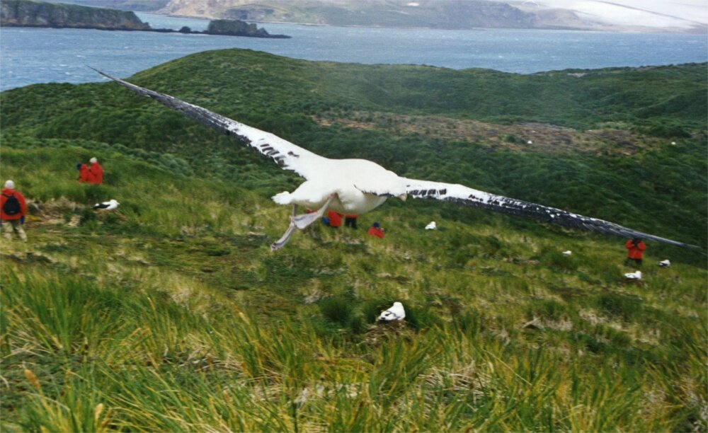 Lesson image