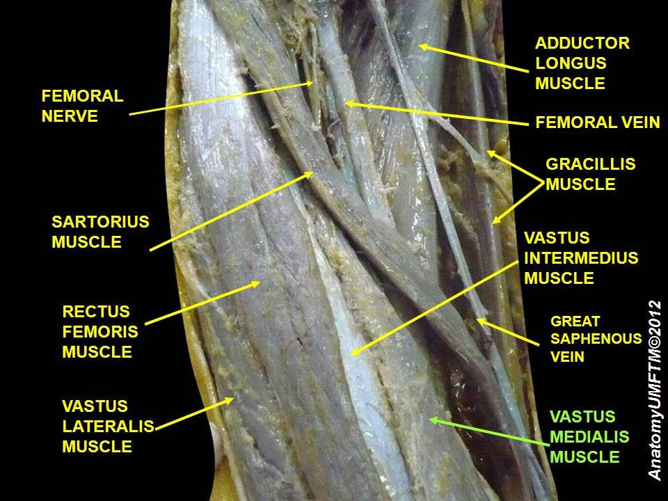 Lesson image
