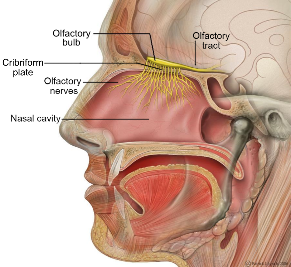 Lesson image