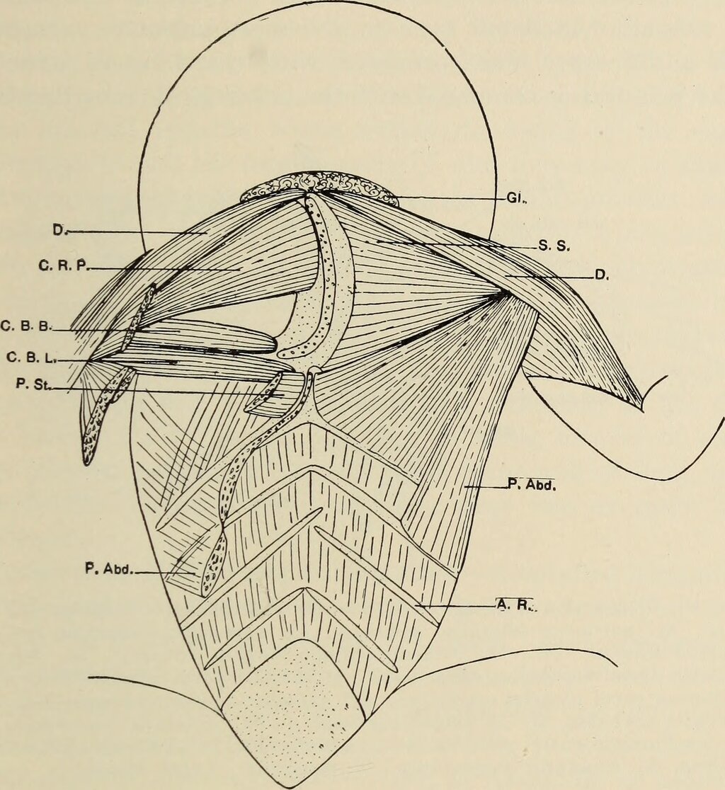Lesson image