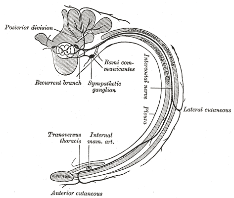 Lesson image