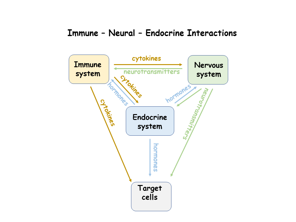 Lesson image