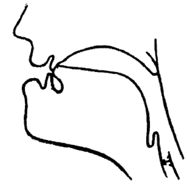 Lesson image