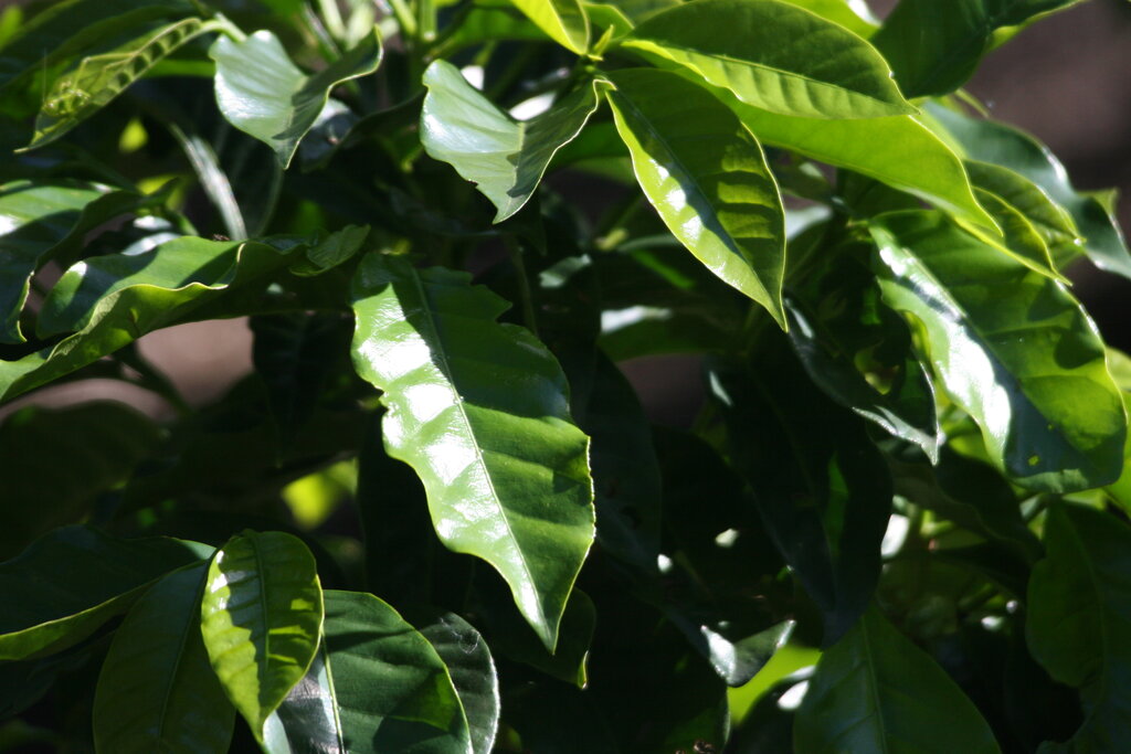 Lesson image