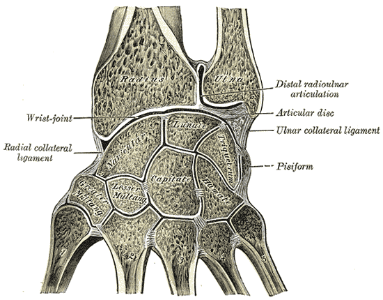 Lesson image