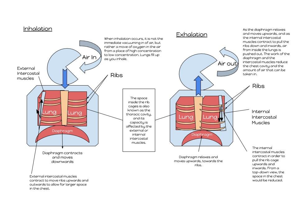 Lesson image