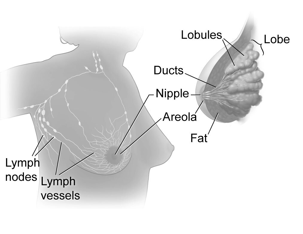 Lesson image