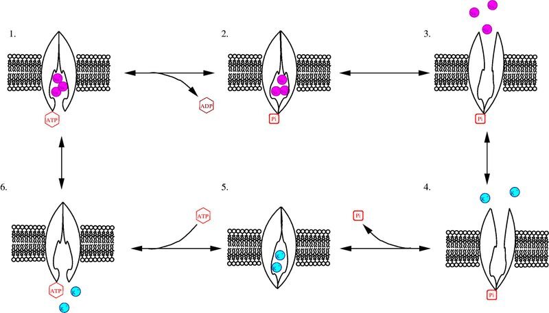Lesson image