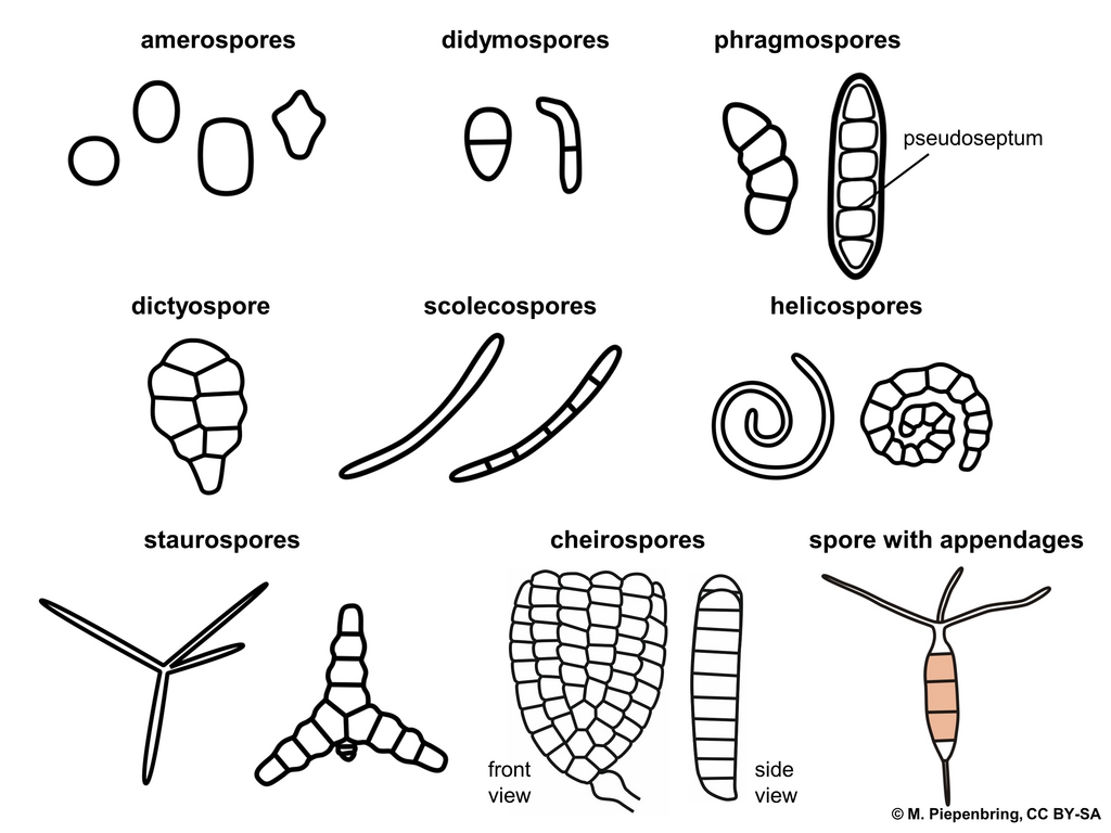 Lesson image