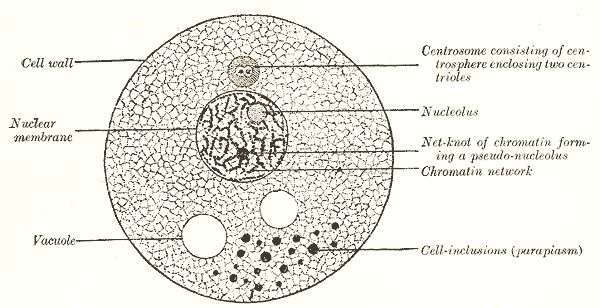 Lesson image