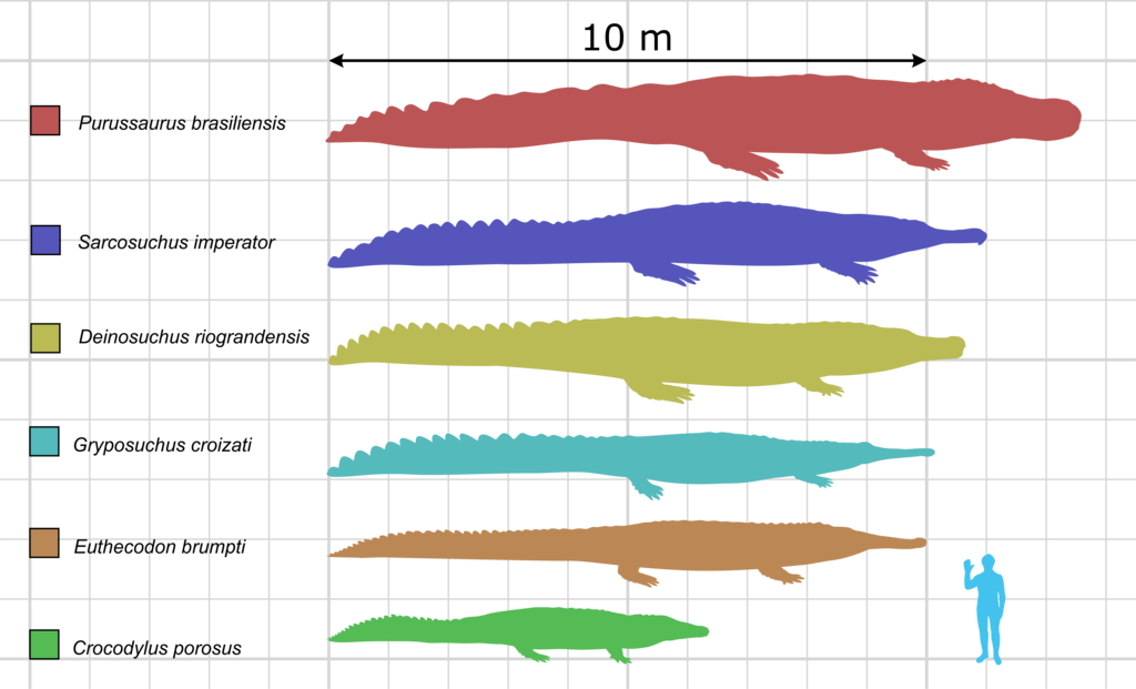 Lesson image