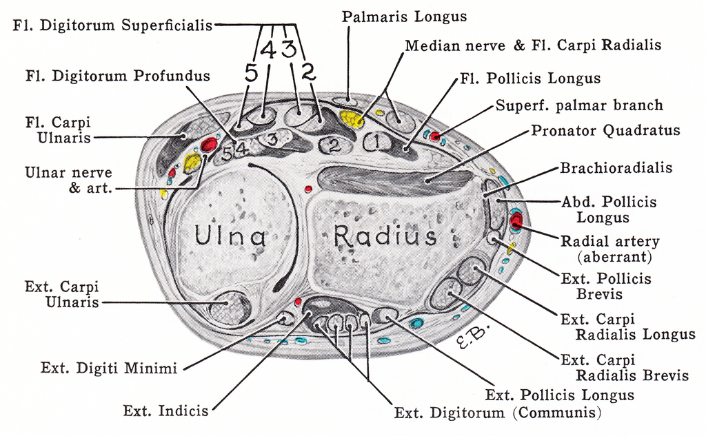 Lesson image