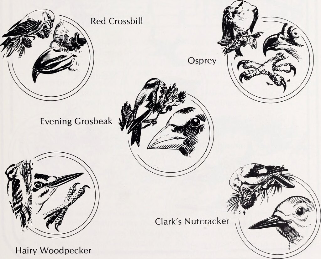 Lesson image