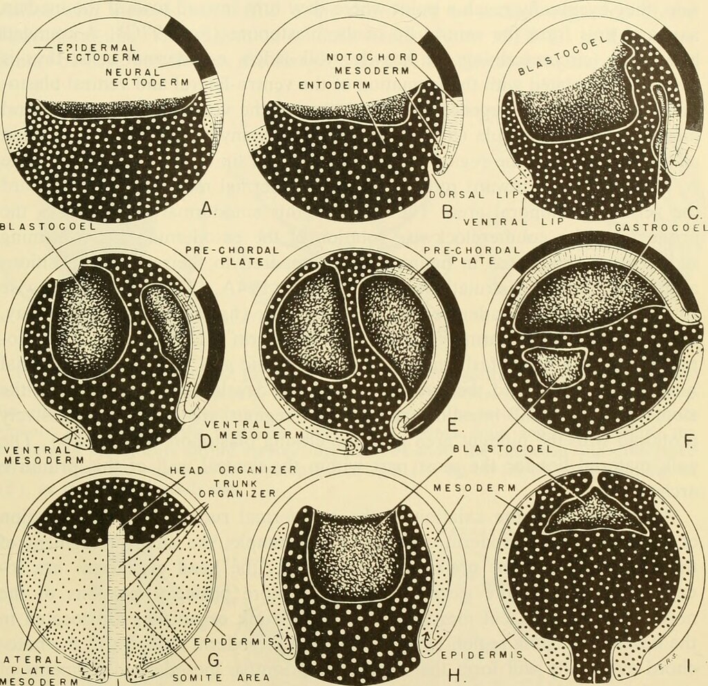 Lesson image