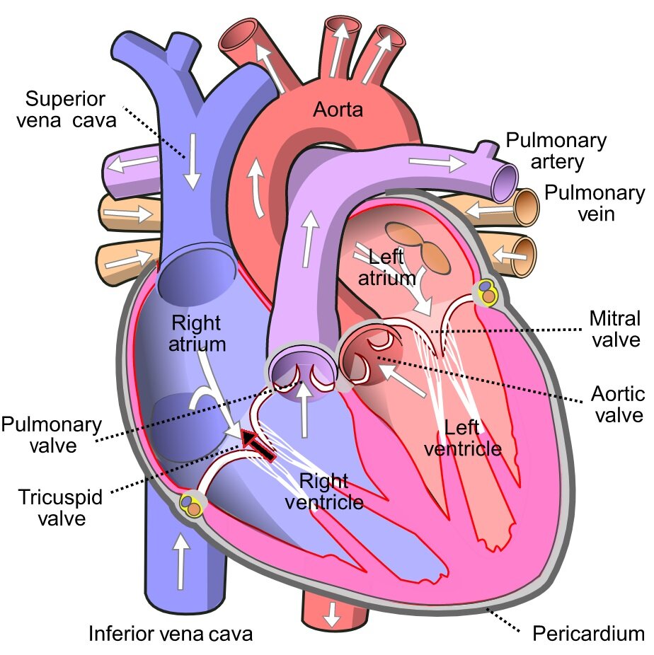 Lesson image