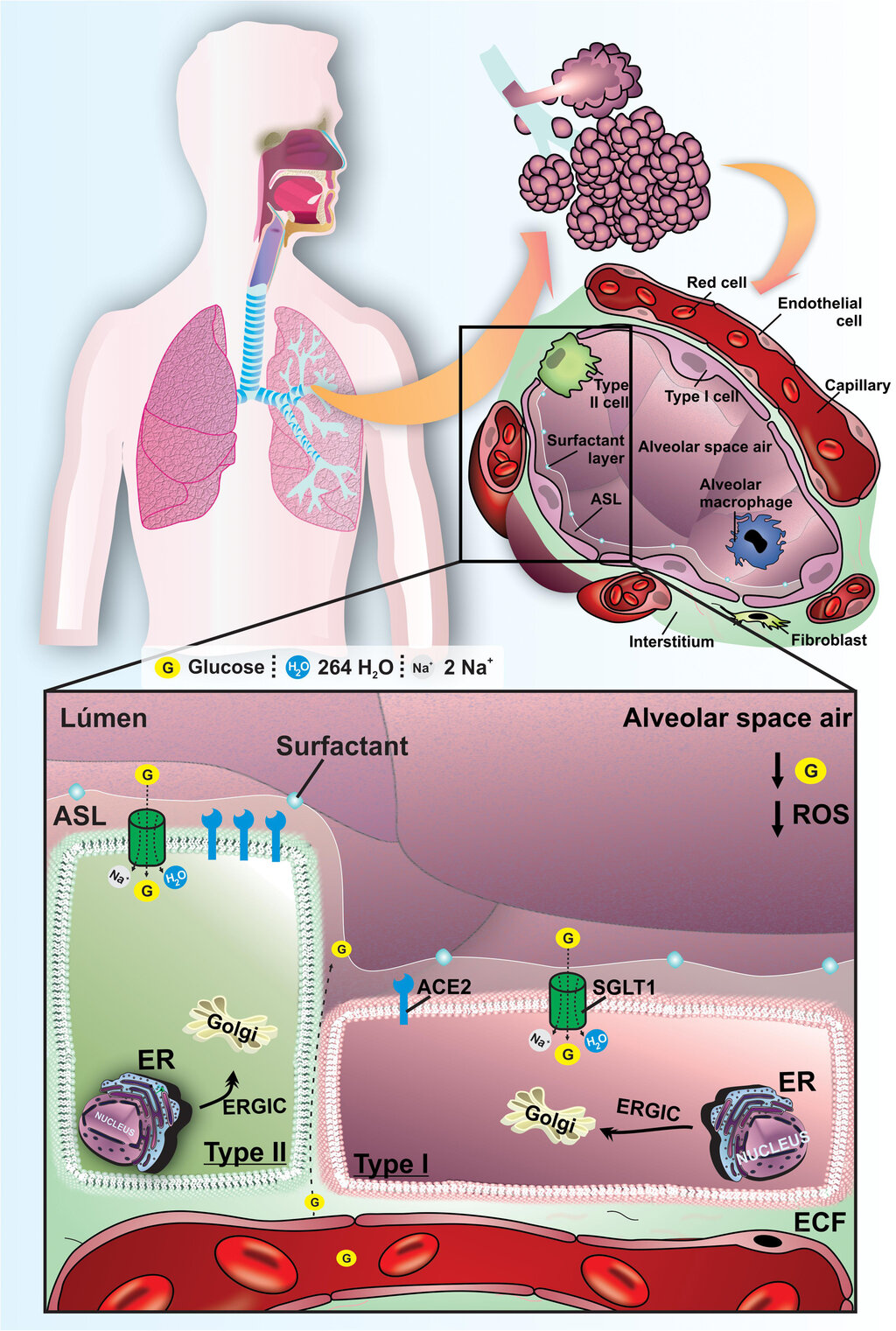Lesson image