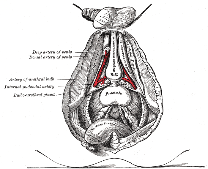 Lesson image