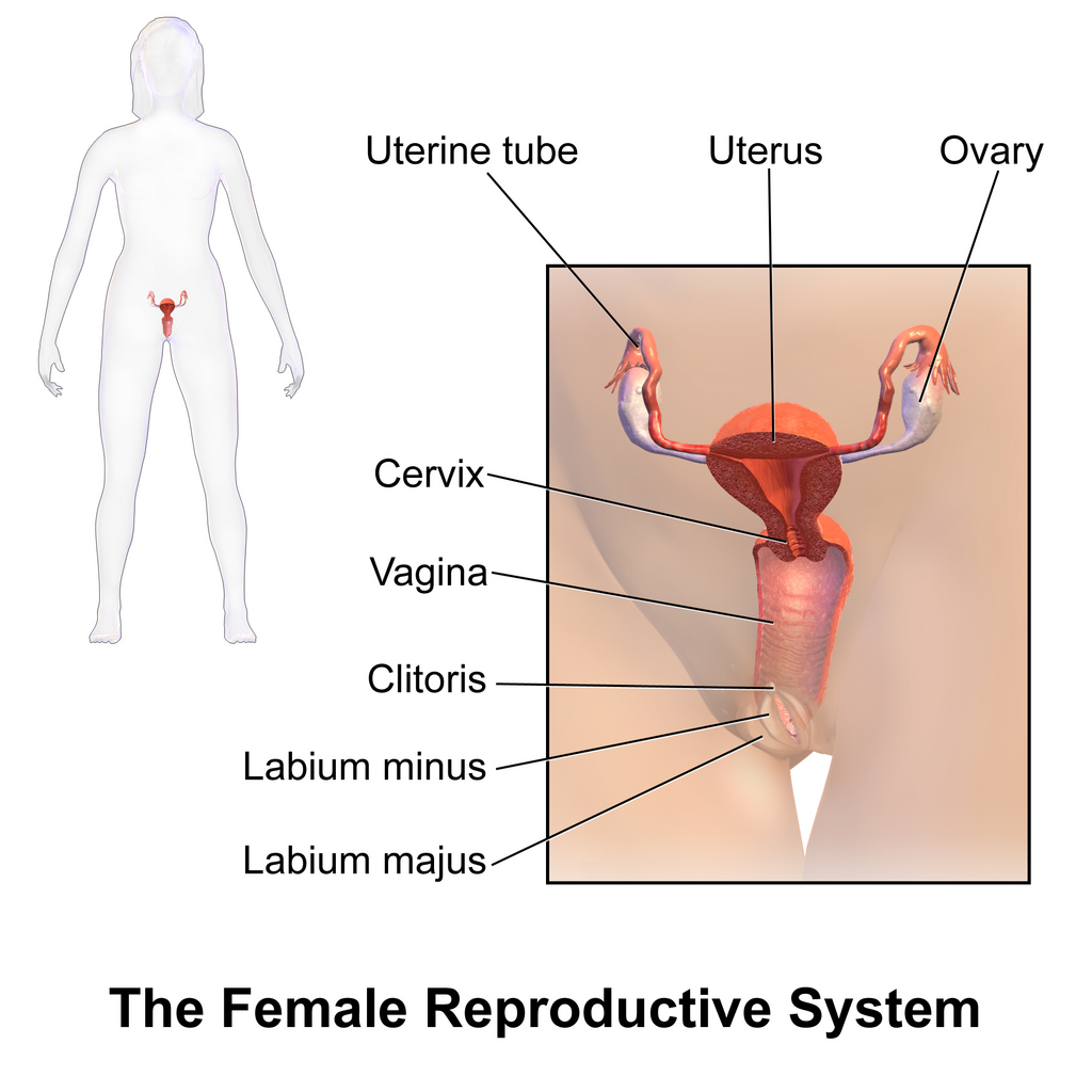 Lesson image
