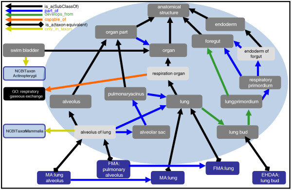 Lesson image
