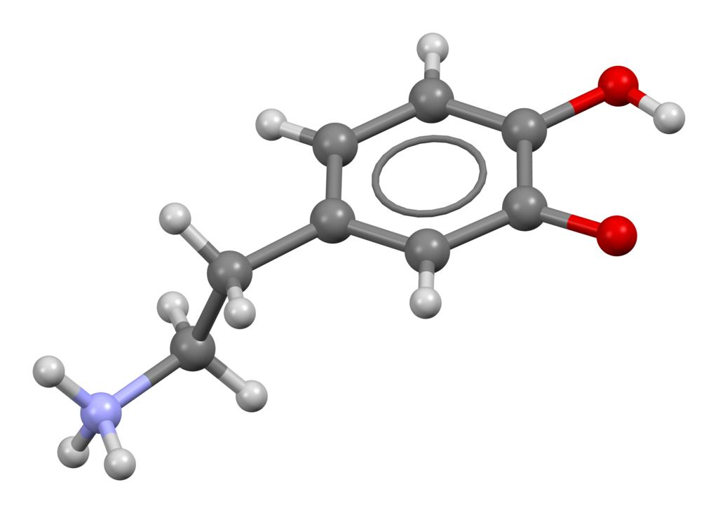 Lesson image