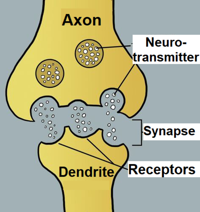 Lesson image