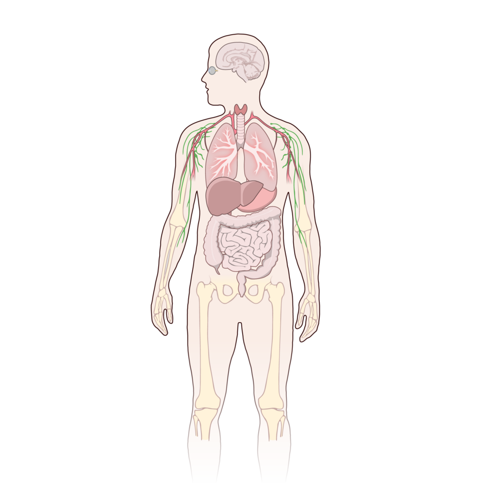 Lesson image