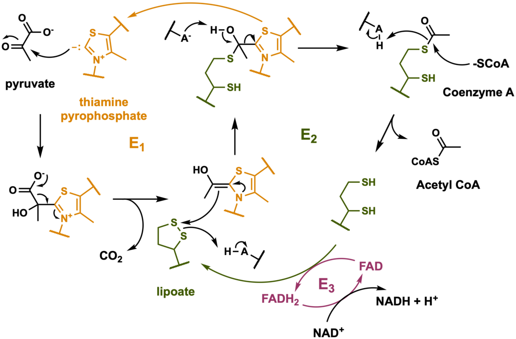Lesson image