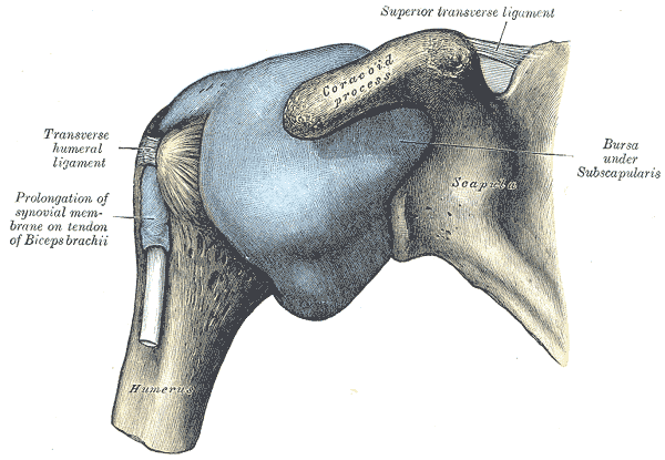 Lesson image