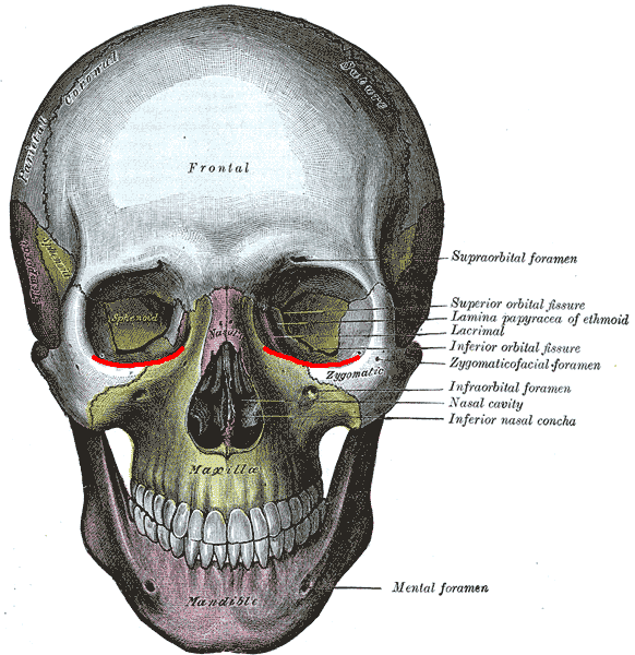 Lesson image