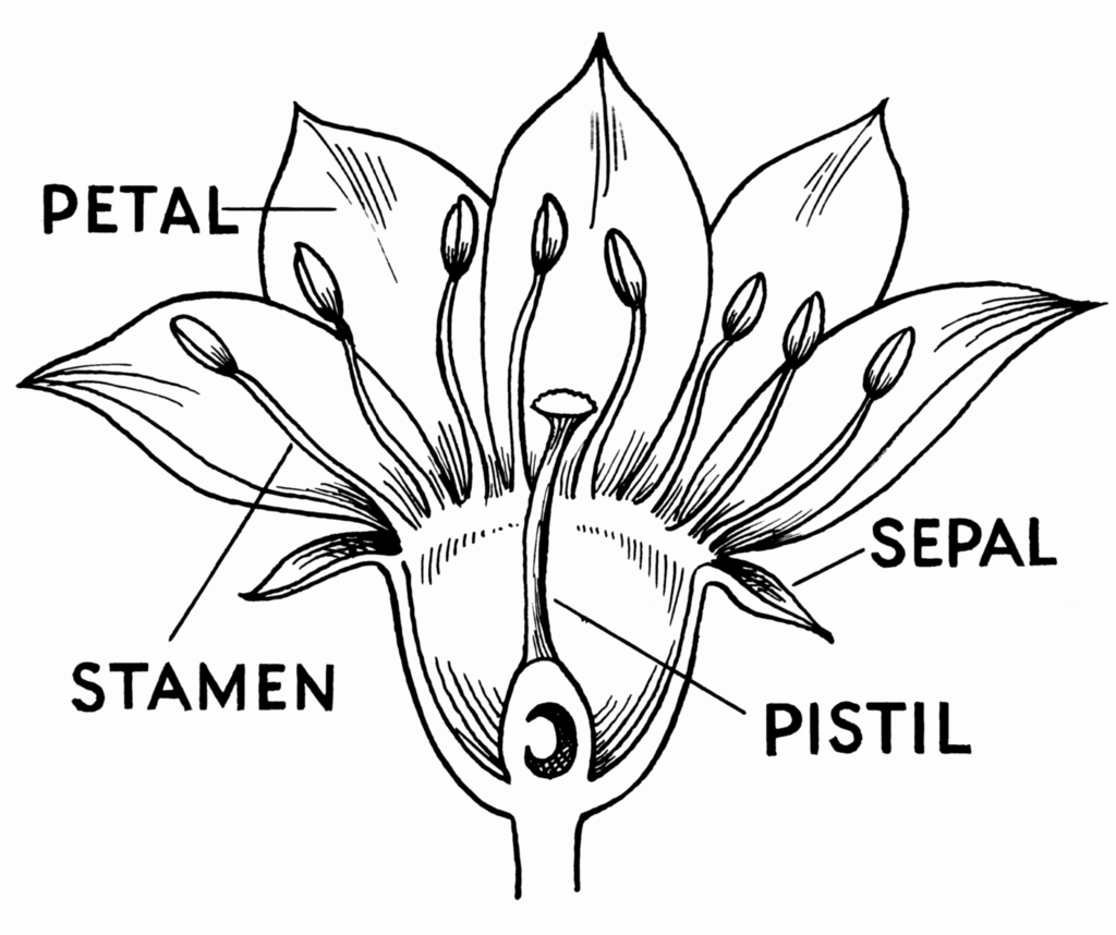 Lesson image