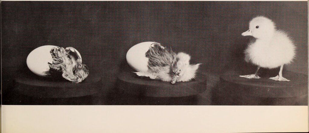 Lesson image