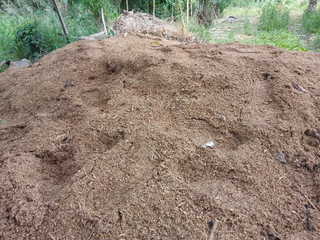 Lesson image