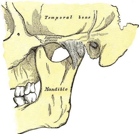 Lesson image