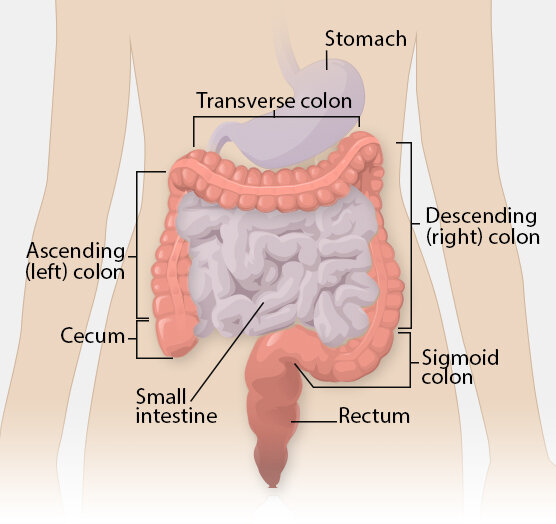 Lesson image
