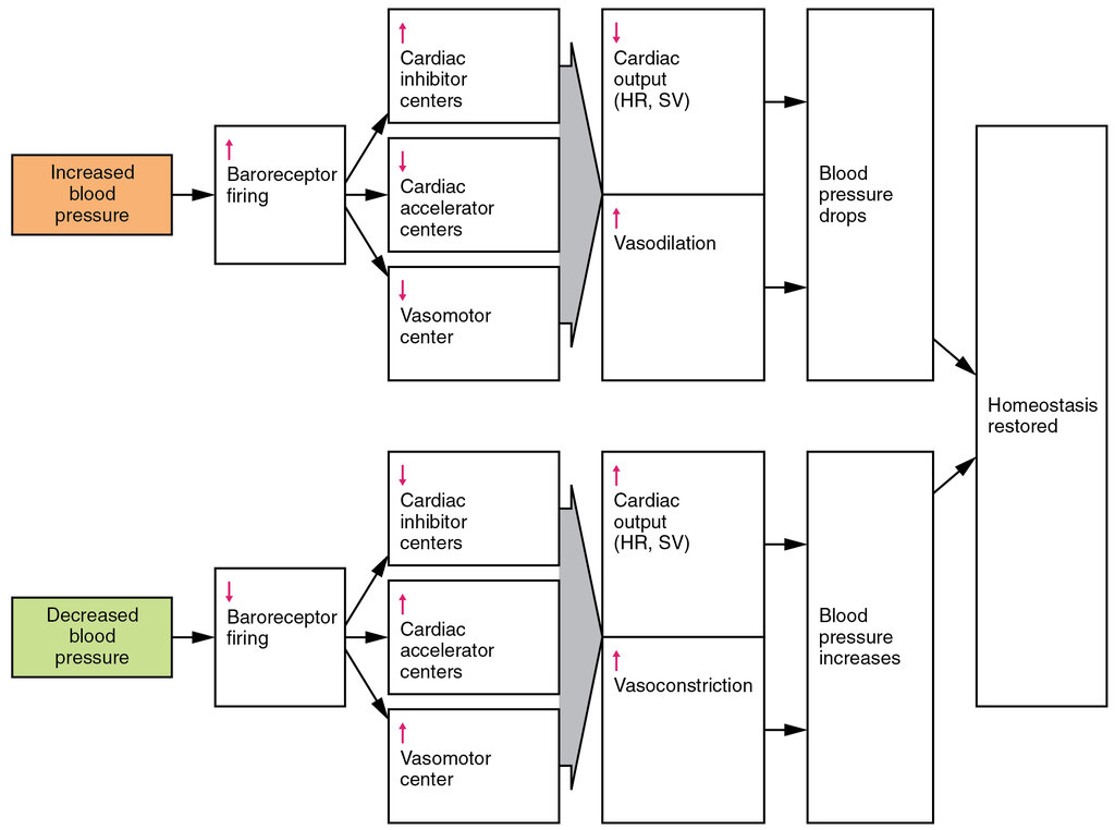 Lesson image