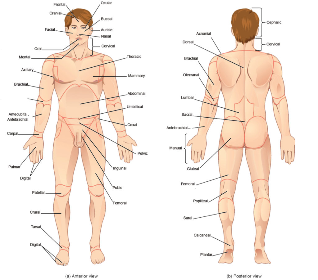 Lesson image