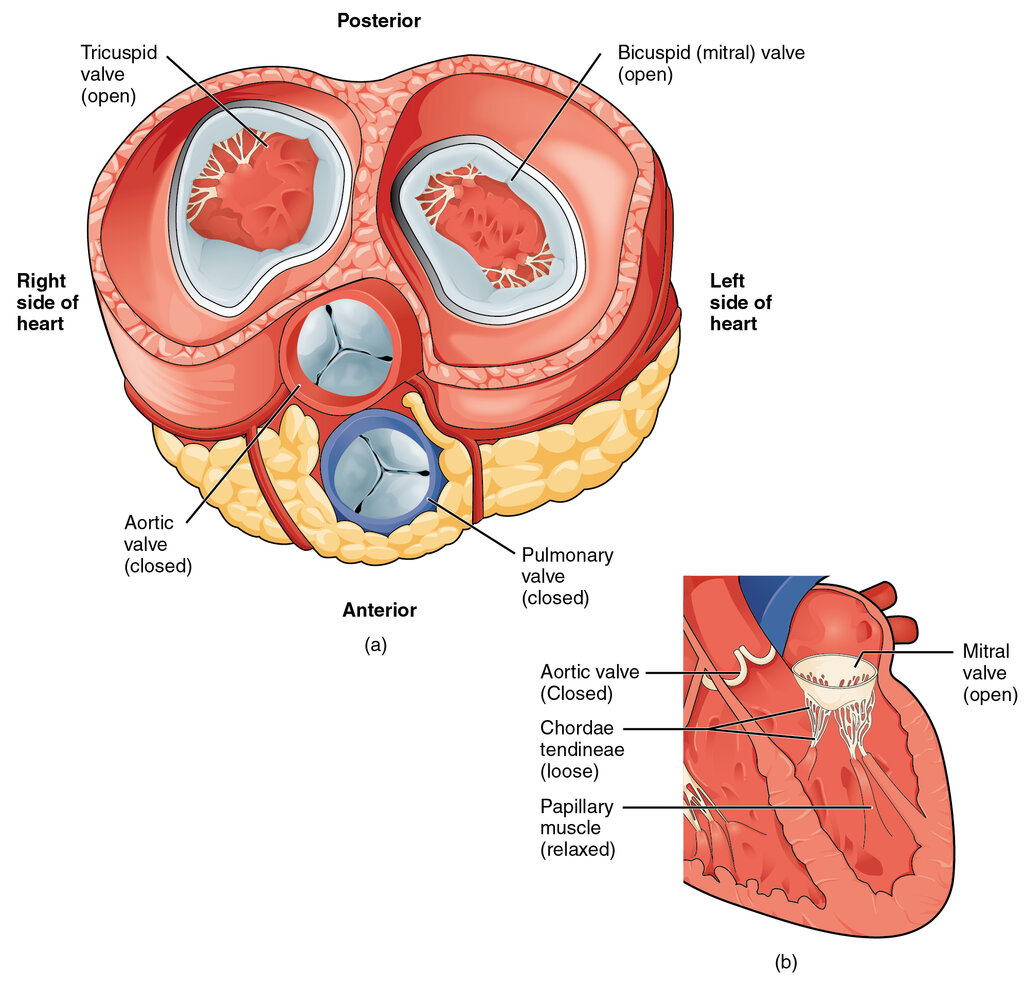 Lesson image
