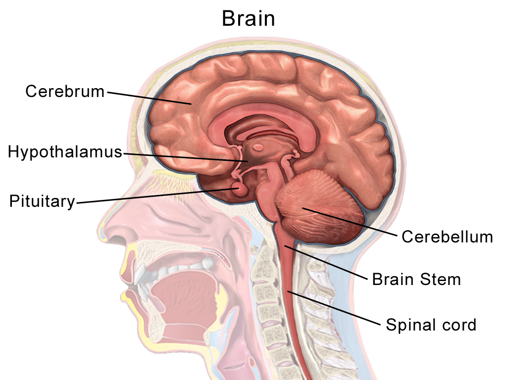 Lesson image