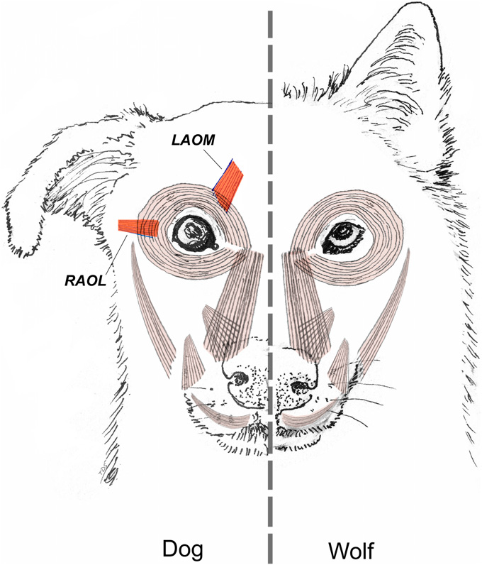 Lesson image