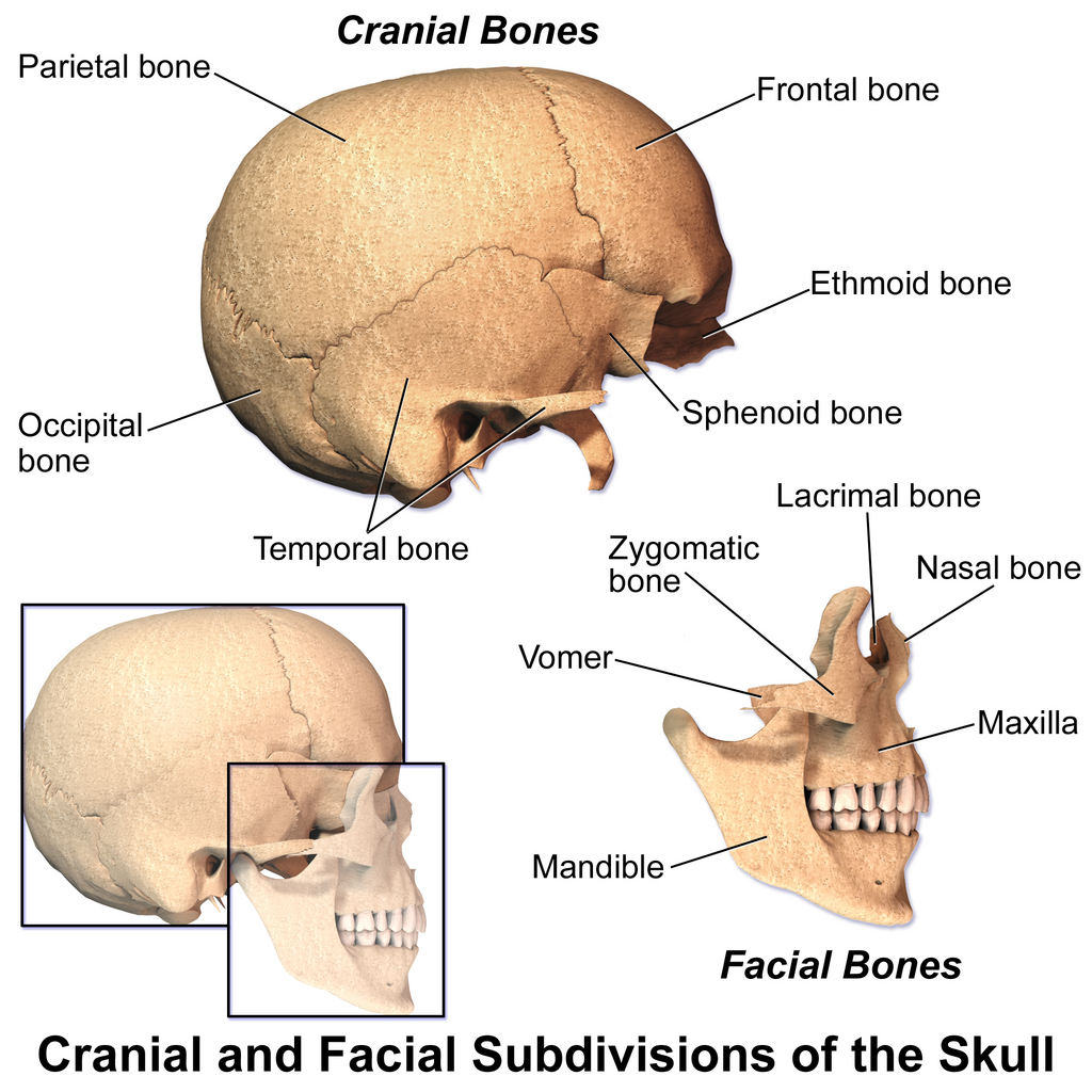 Lesson image