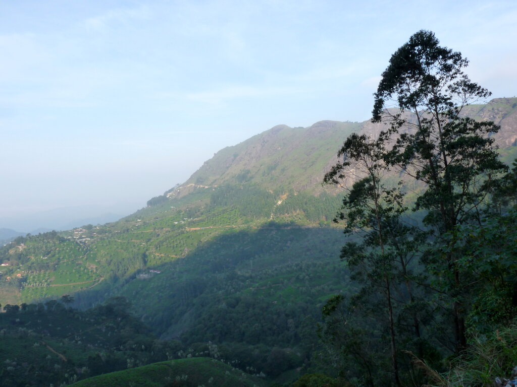 Lesson image