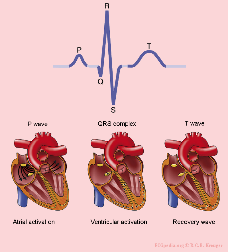 Lesson image
