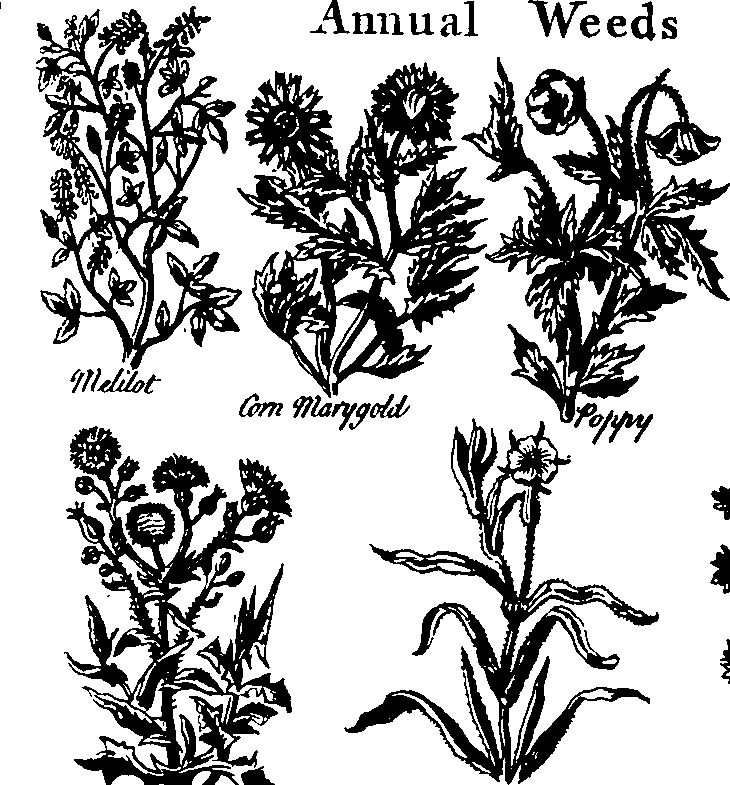 Lesson image