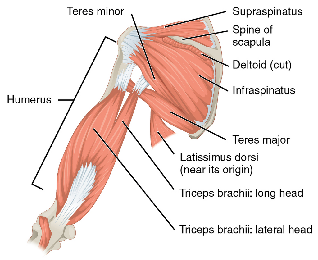 Lesson image