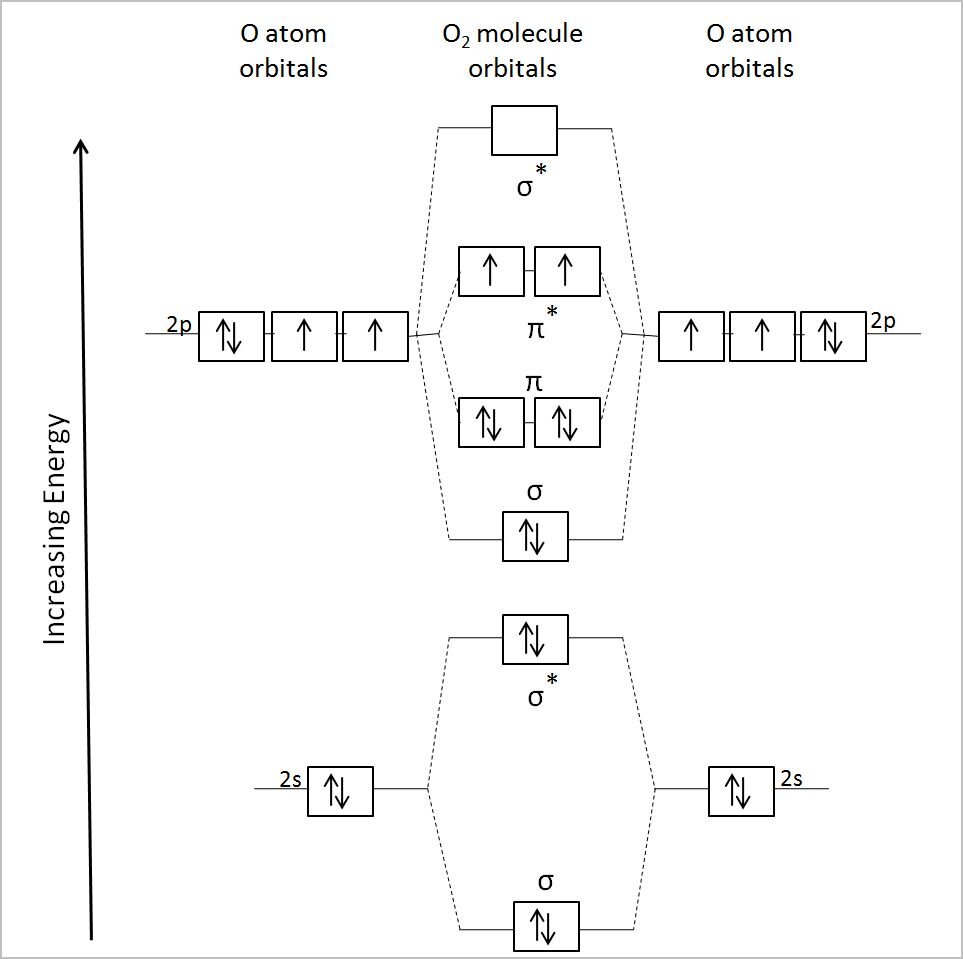 Lesson image